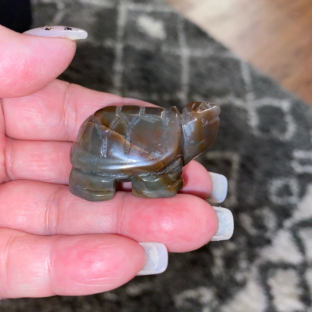 Crystal turtles - Picture 3 of 16